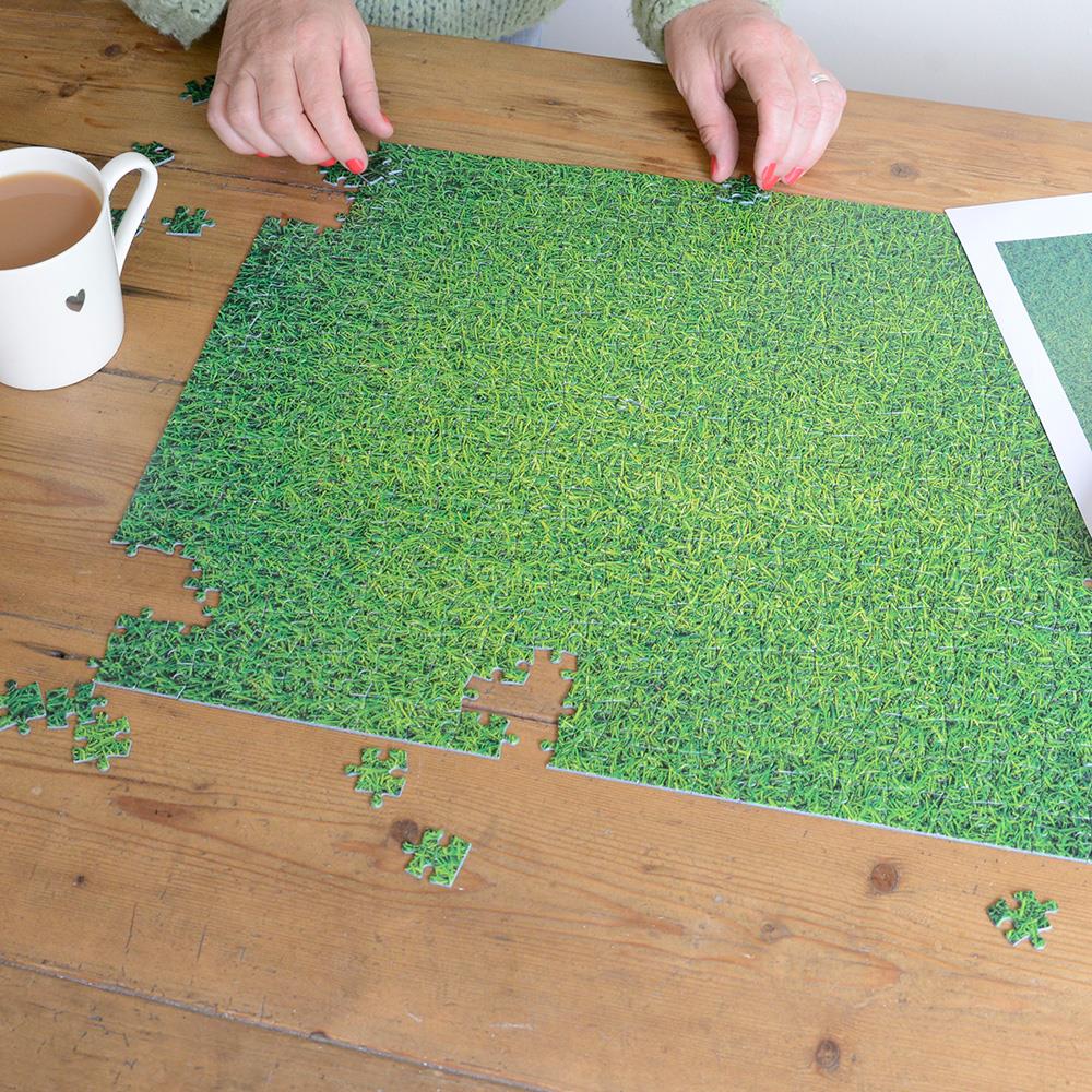 Natural Grass Impuzzible 500 Piece Jigsaw Puzzle