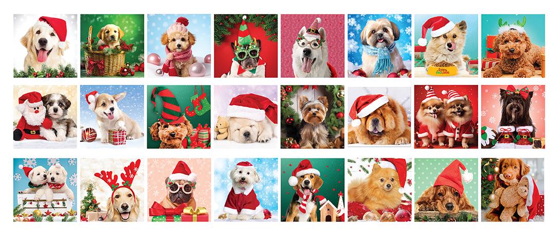 Christmas Paws - Advent Calendar 24 50 piece jigsaw puzzles