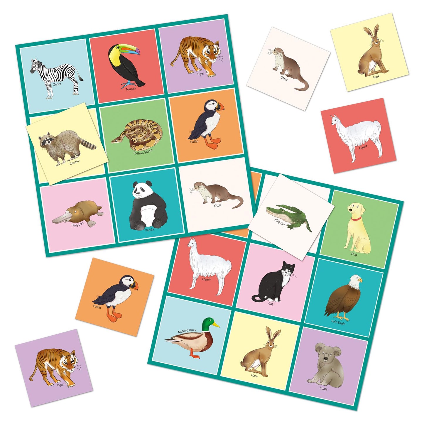 Natural History Museum Let's Learn Animals Activity Pack