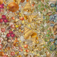 Natural History Museum - Shells 1000 Piece Jigsaw Puzzle