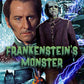 Frankenstein's Monster 1000 Piece Jigsaw Puzzle