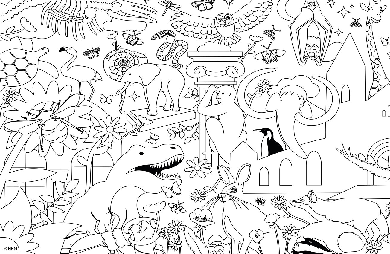 Natural History Museum Colouring 2 x 100 Piece Jigsaw Puzzle Set