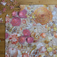 Natural History Museum - Shells 1000 Piece Jigsaw Puzzle