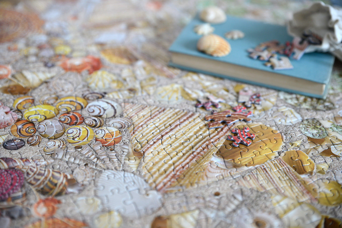 Natural History Museum - Shells 1000 Piece Jigsaw Puzzle