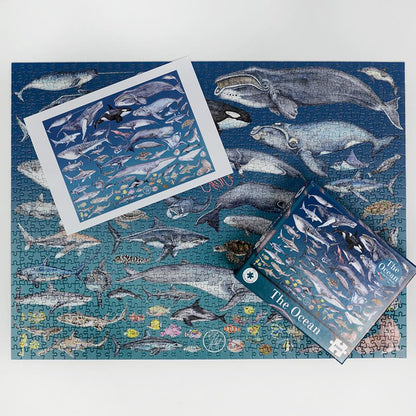 The Ocean 1000 Piece Jigsaw Puzzle