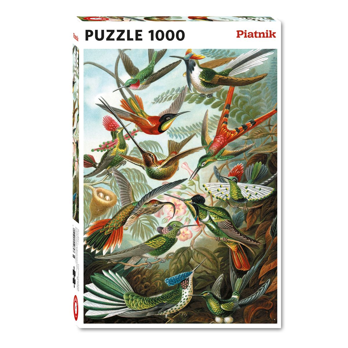 Haeckel Hummingbirds 1000 Piece Jigsaw Puzzle